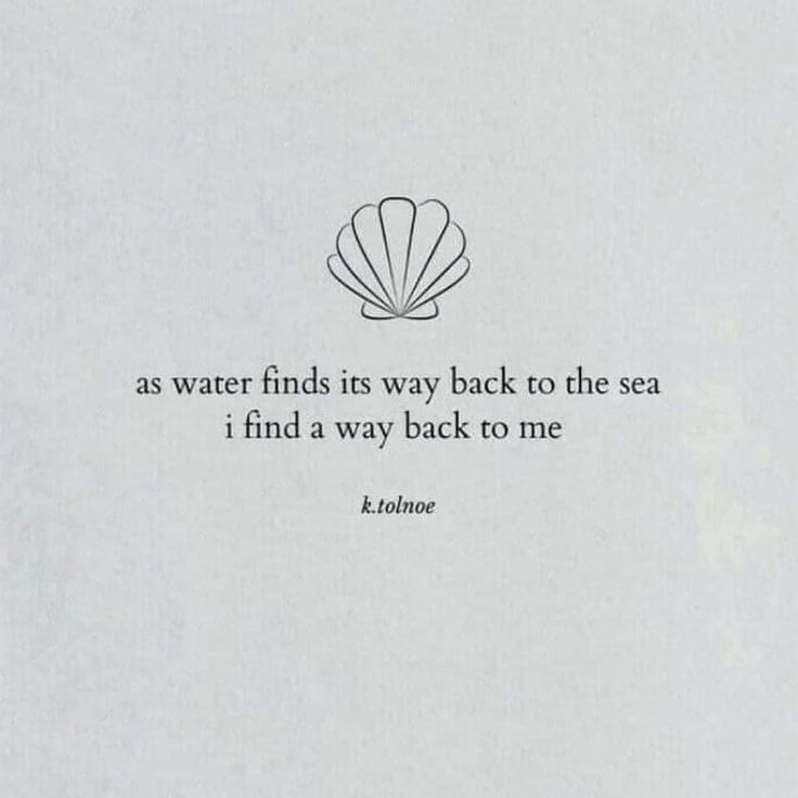 an image of a quote on the back of a book with a sea shell in it