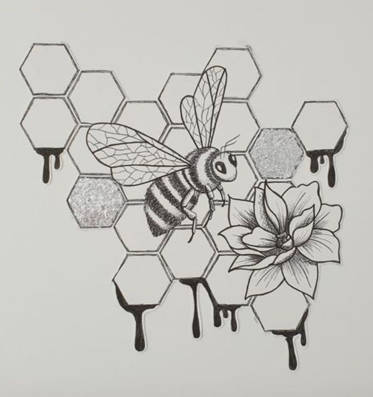 a drawing of a honeybee on a flower and some honeycombs in the background