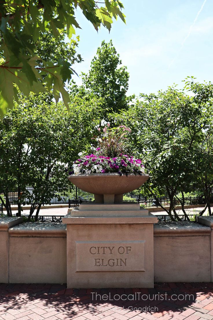 the city of elgin monument is surrounded by trees and bushes with purple flowers in it