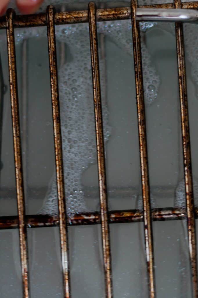 a person is holding onto the bars of a metal cage that has water in it