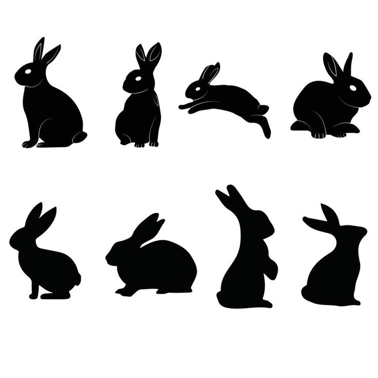 the silhouettes of rabbits are shown in different positions and sizes, including one sitting down