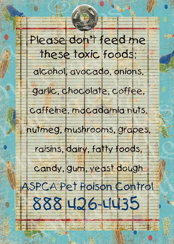 a sign that says please don't feed me, these tonic foods alcohol chocolate coffee caffeine mushroom nuts raisins dairy dairy yogurt