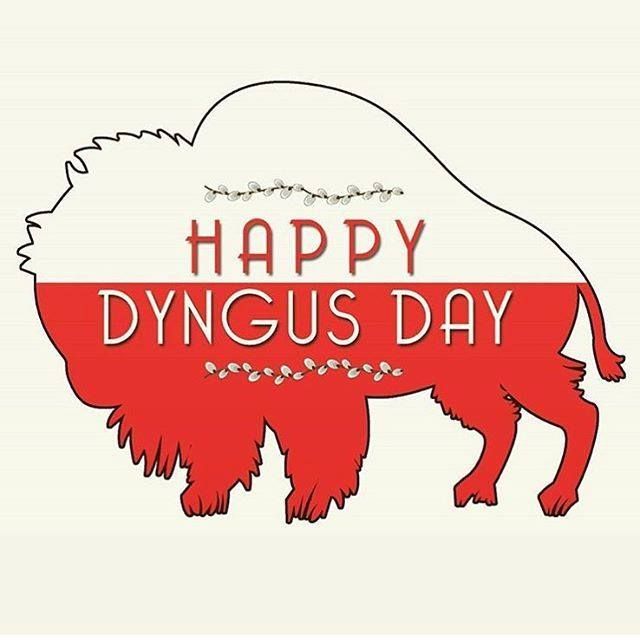 a red bison with the words happy dygus day on it's side