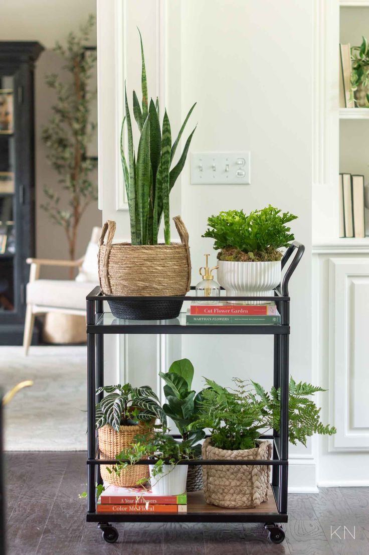 three tiered plant stand with plants and books on the shelves in front of it