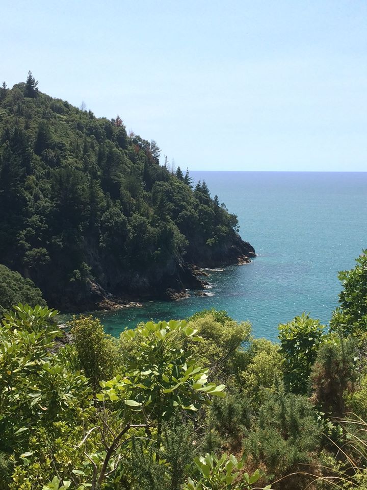 the ocean is surrounded by trees and rocks