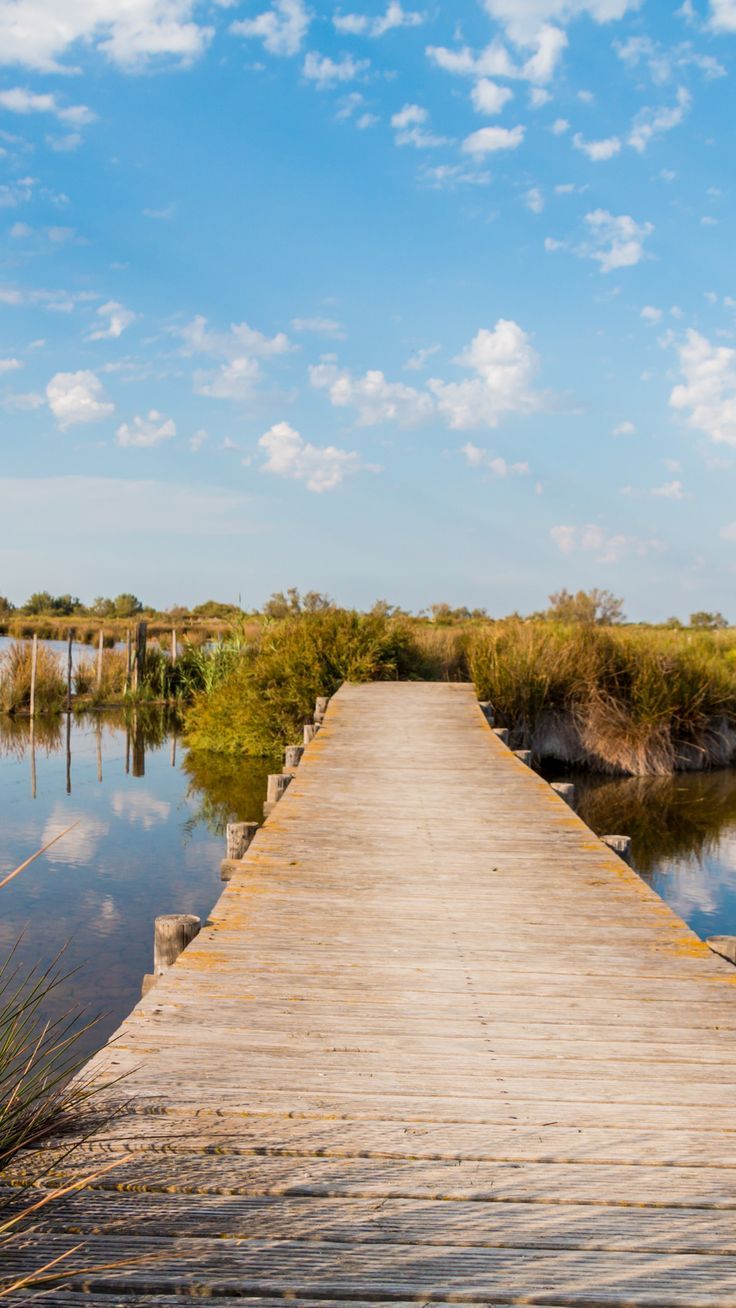 a long wooden dock extending into the water