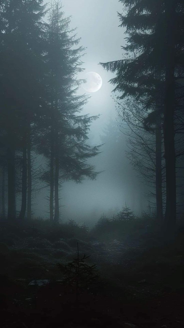 a foggy forest with trees and the moon in the distance