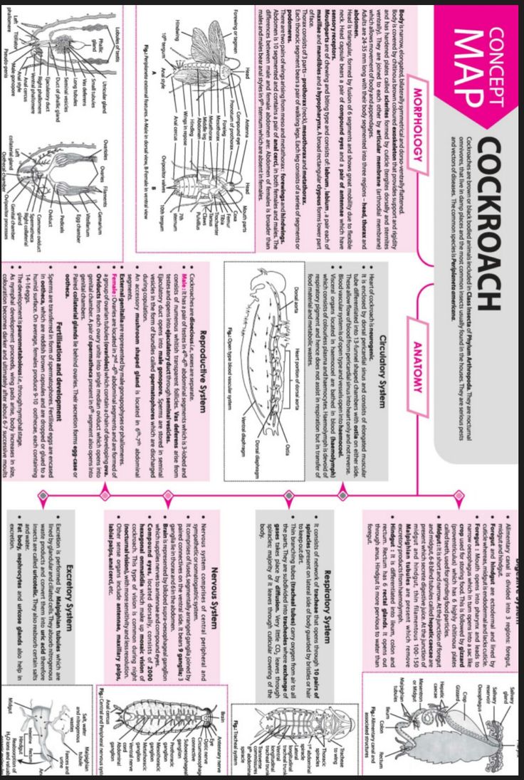 an image of a poster with instructions on how to use it