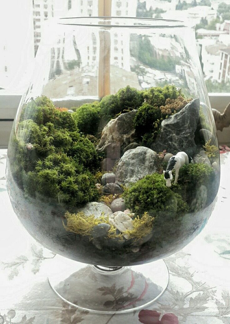 a glass bowl filled with moss and rocks on top of a table next to a window