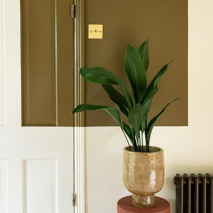 a potted plant sitting on top of a table next to a radiator