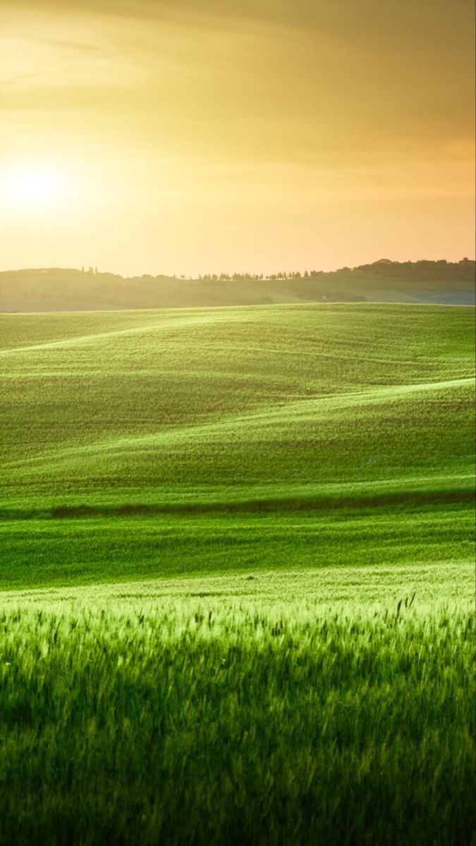 the sun is setting over an open field with green grass and trees in the distance