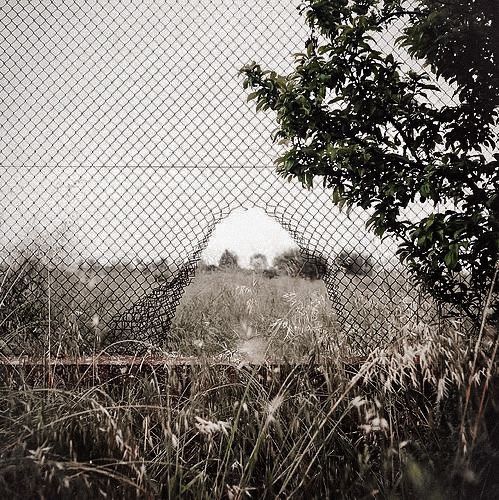 the view through a chain link fence at an abandoned building and trees on a foggy day