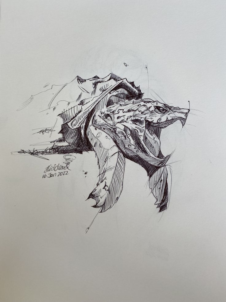 a pencil drawing of a fish on paper