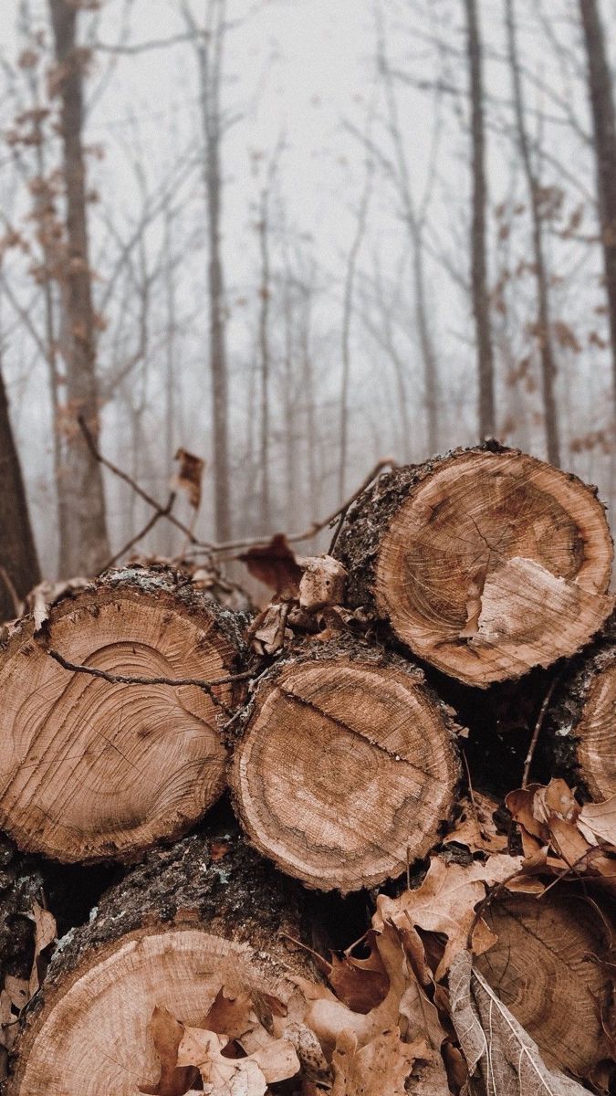 logs stacked on top of each other in the woods