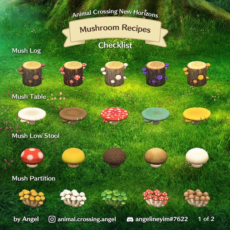 mushrooms and mushrooms are arranged in the grass