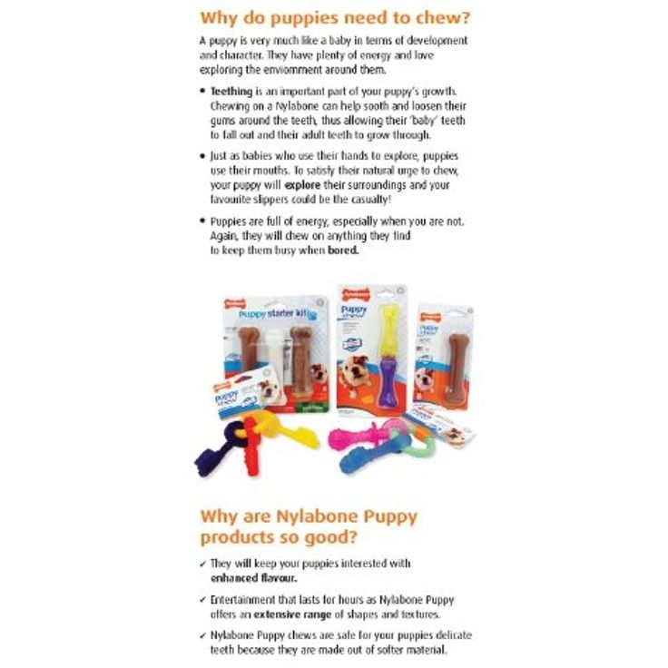 an ad for nylabone puppy products with the caption why do puppies need to chew?