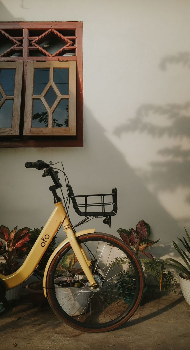 a yellow bike parked next to a window and potted plants in front of it