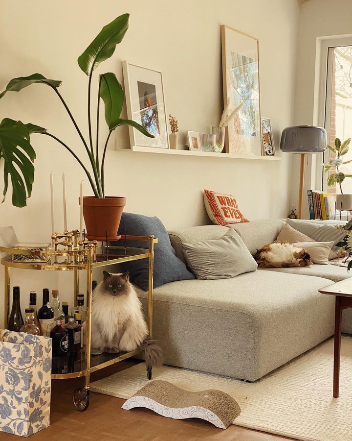 a living room with a cat sitting on the couch