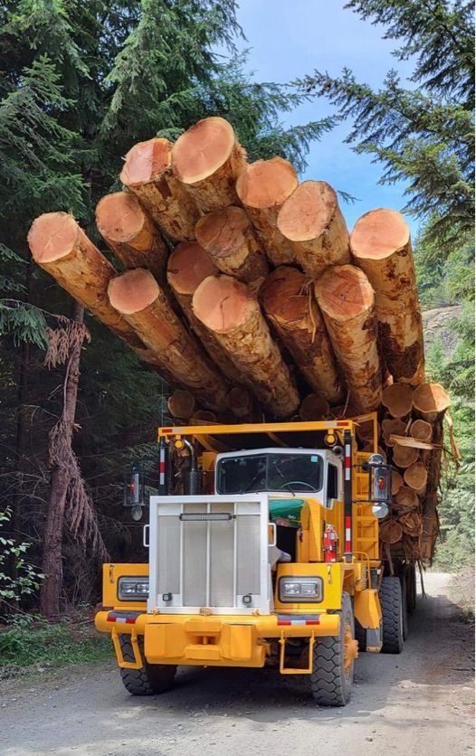 a large truck carrying logs down a road