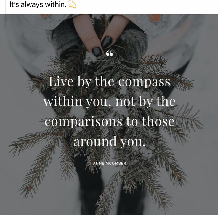 someone holding pine branches with the quote live by the compass within you, not by the companions to those around you