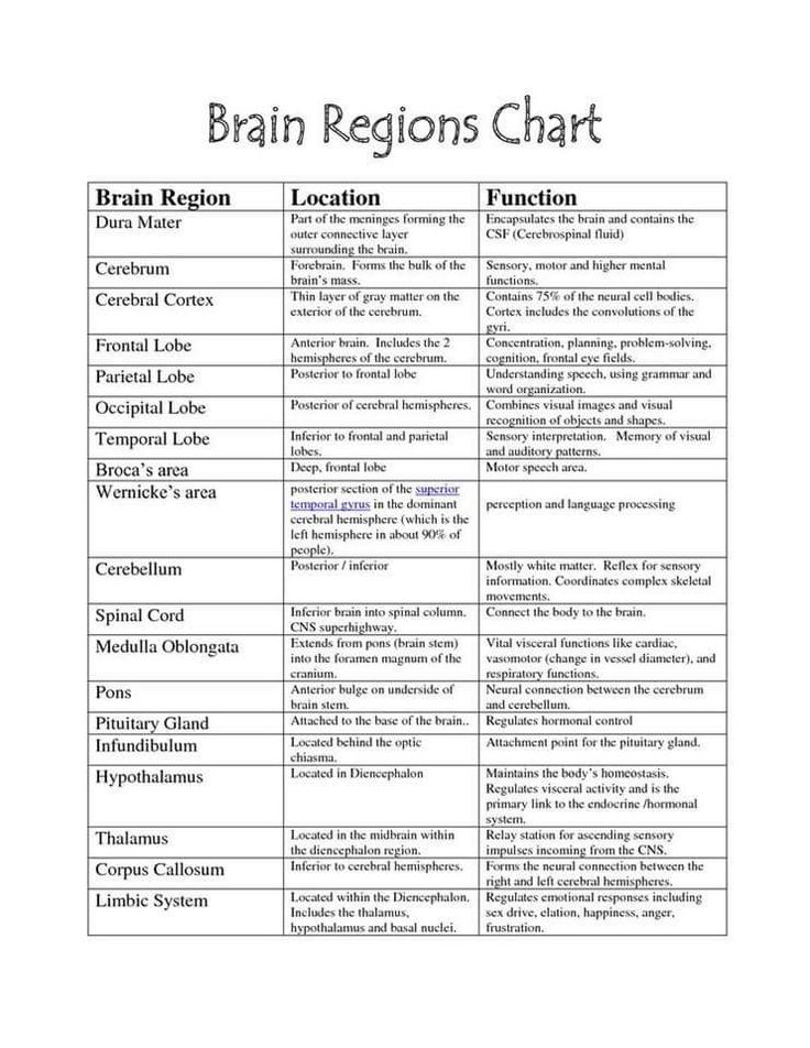 the brain regions chart is shown in black and white, with text on top of it