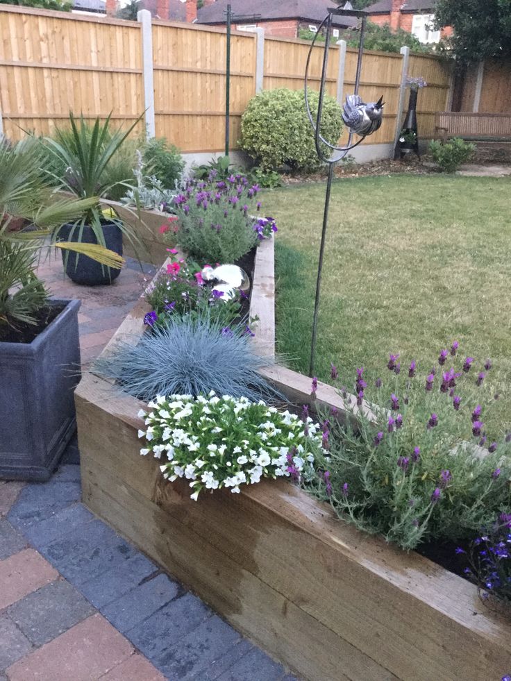 an outdoor garden with flowers and plants in it