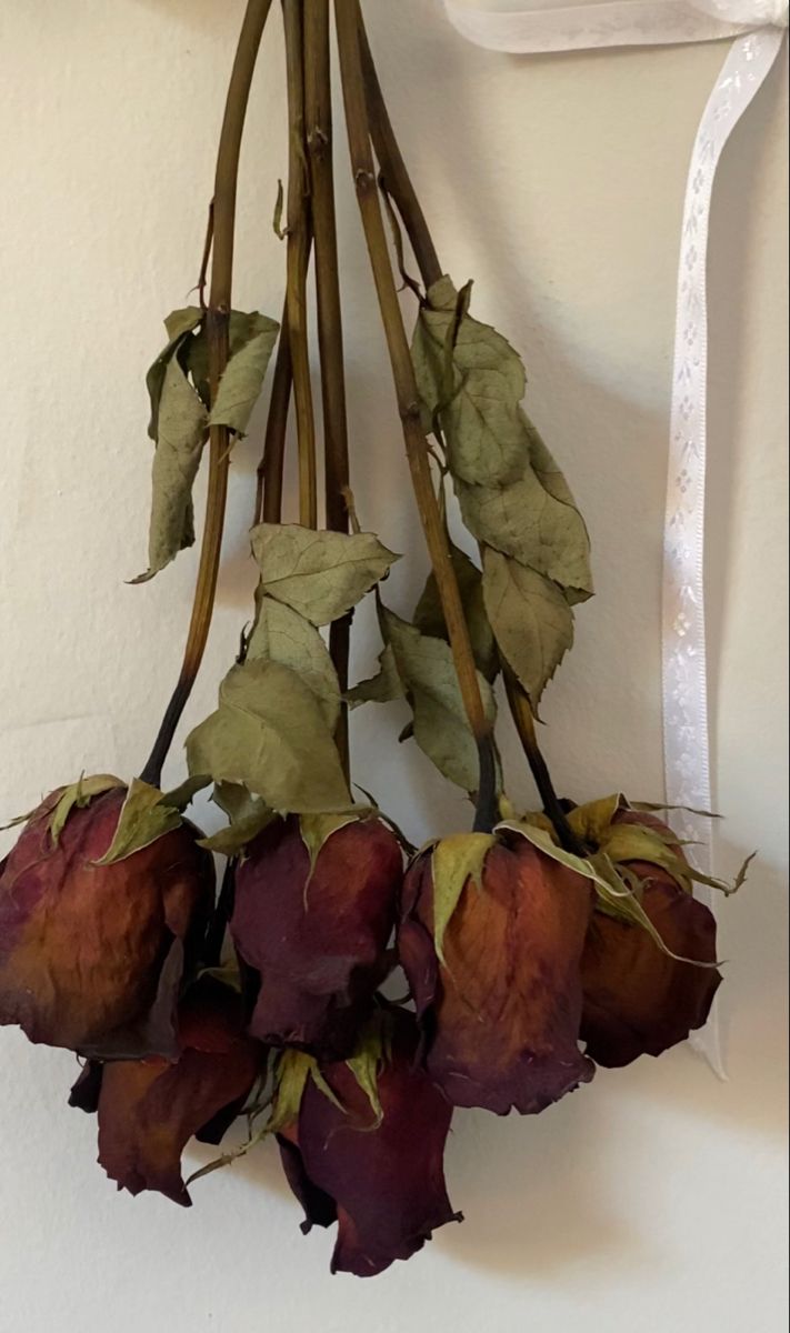 dried flowers hang from a hook on the wall