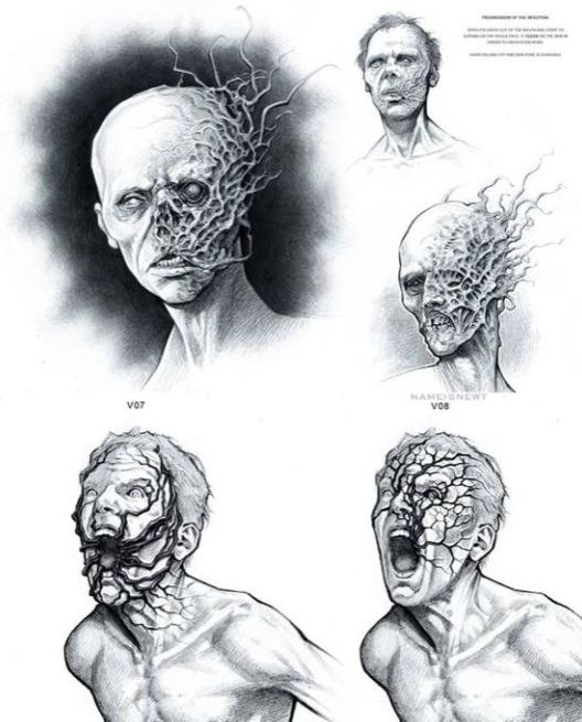 three different views of the human head and neck