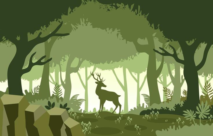 a deer standing in the middle of a forest filled with trees and bushes, surrounded by rocks