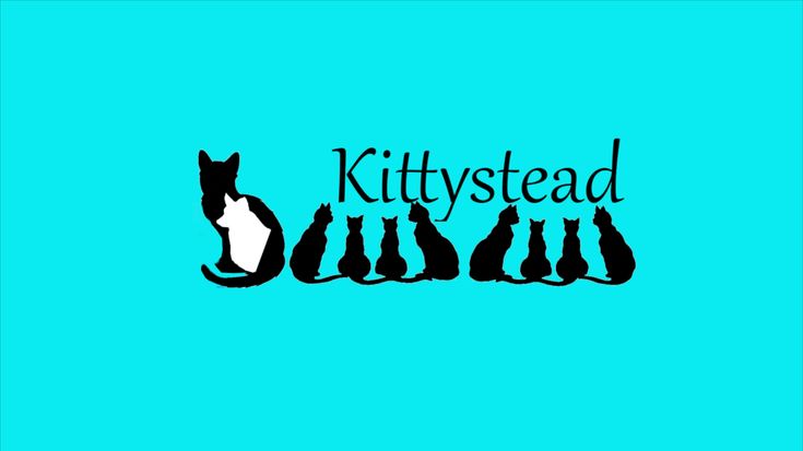 Kittystead