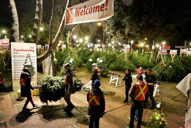 people are walking around with christmas trees in their hands and signs hanging from the trees