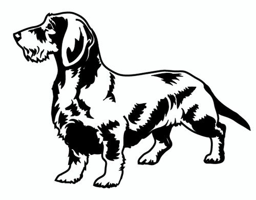 a black and white drawing of a dog