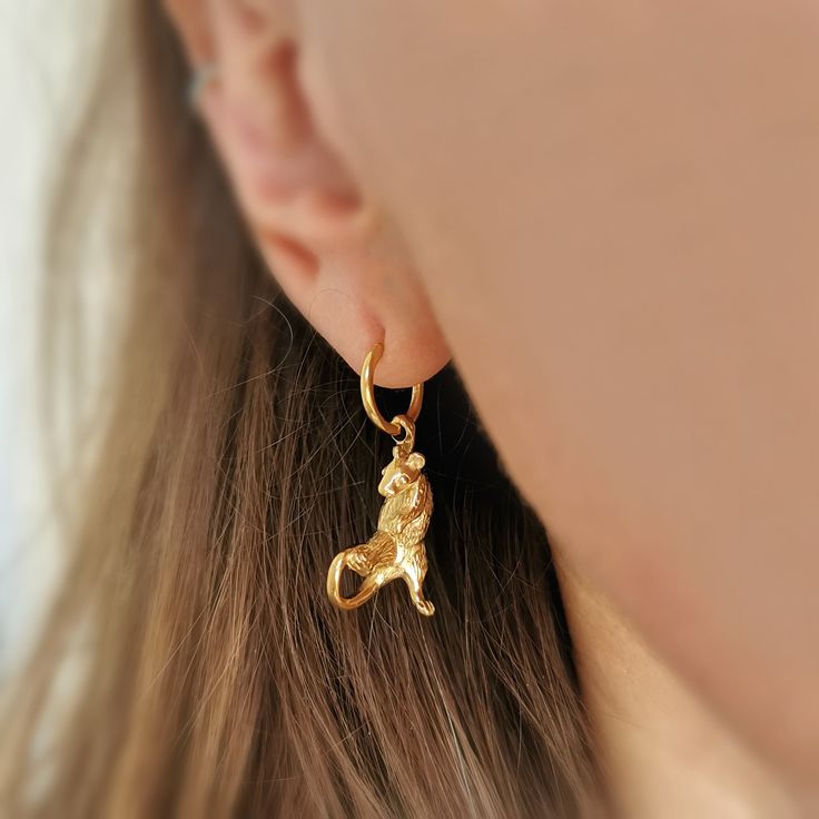 Rat Creole Earrings Rat Jewellery Our rat creole earrings feature a handmade rat charm with spectacular detail hanging from a hoop. It's a conversation starter you'll wear and wear, and won't see anywhere else. Full of cheeky charm, this little ratty is ready for some acrobatics. Just look at his tiny tail, cute little face, and realistic-looking fur. These special earrings are perfect as a rat lover gift, or if you heart rats. Our rat jewellery range was created by Jana to challenge people's ne Yellow Gold Hoop Earrings With Charms, 14k Gold Hoop Earrings With Dangling Charms As Gift, Yellow Gold Earrings With Dangling Charms As Gift, Yellow Gold Earrings With Dangling Charms For Gift, Dainty Yellow Gold Earrings With Charms, Sterling Silver Earrings With Yellow Gold Dangling Charms, 14k Yellow Gold Earrings With Charms, Everyday Brass Earrings With Charms, Yellow Gold 14k Charm Earrings