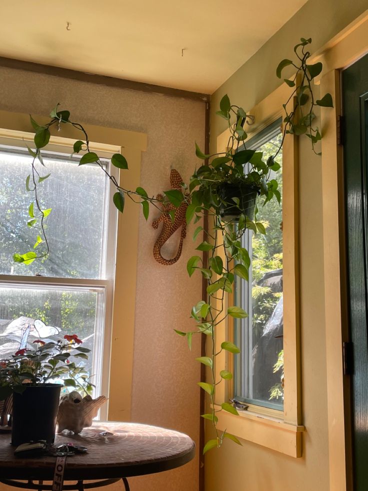 a houseplant hanging on the wall next to a table with a potted plant