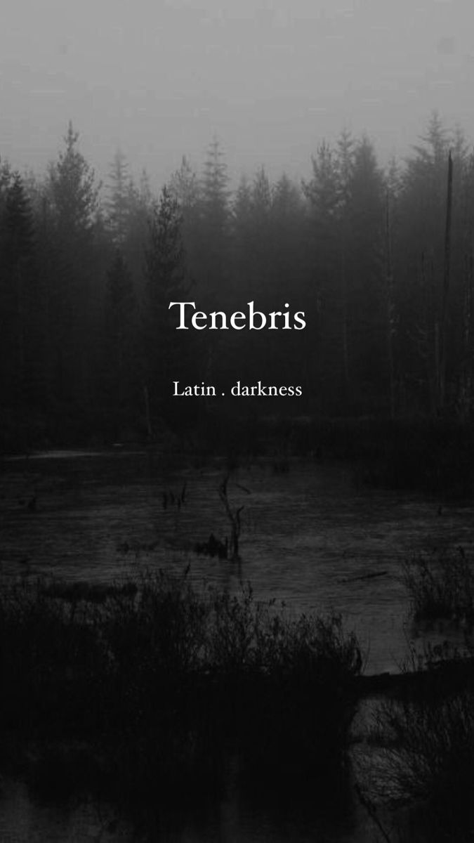 a black and white photo with the words tenebris written in front of it