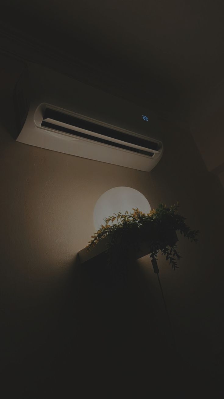 an air conditioner sitting on top of a wall next to a plant