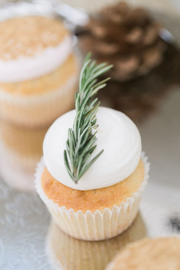 three cupcakes with frosting and a sprig of rosemary on top