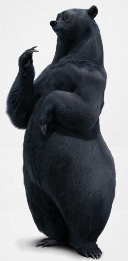 a large black bear standing on its hind legs in front of a white background and looking up at the sky