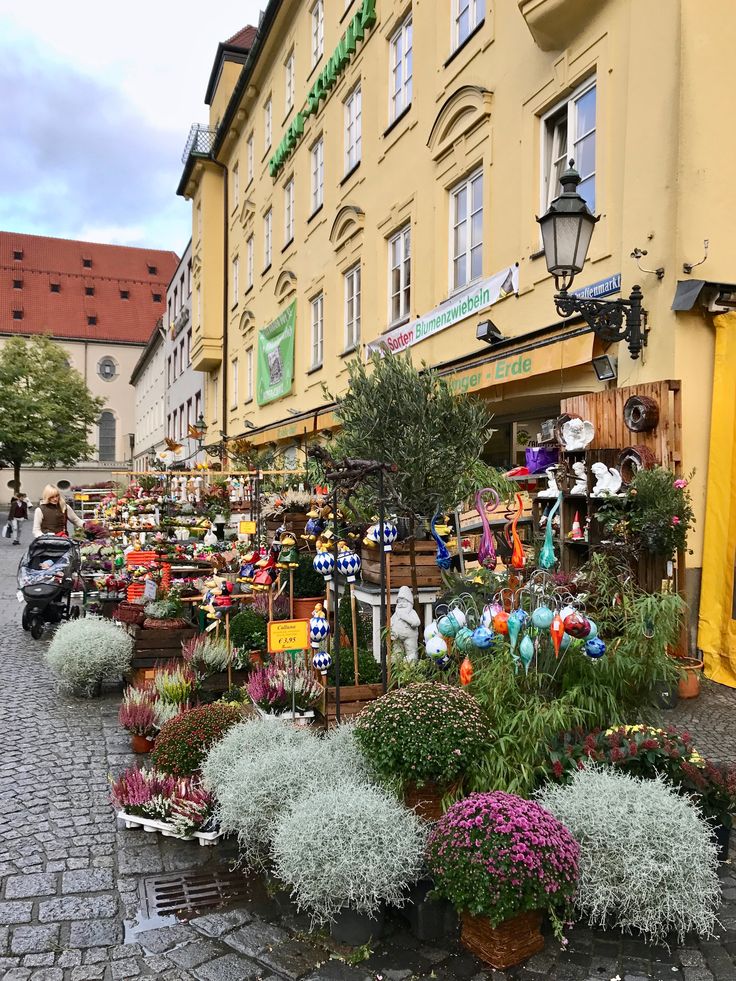 many potted plants are on display in front of a building with people walking by