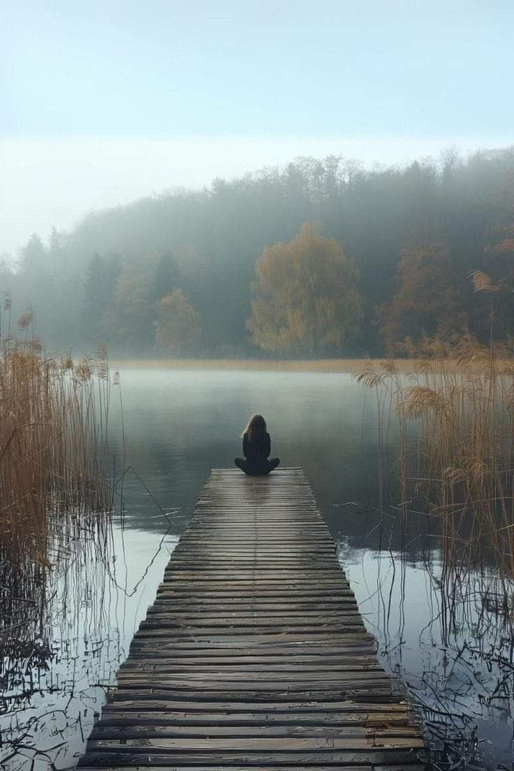 a wooden dock sitting in the middle of a lake surrounded by tall grass and trees