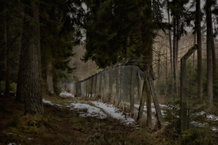 a fence in the middle of a forest with snow on the ground and trees around it