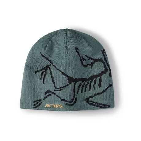 Bird Head Toque | Arc'teryx Trendy Caps, Bird Head, Hiking Fits, Men's Beanies, Essential Accessories, Digital Closet, Bird Logos, Snowboarding Outfit, Fibres Textiles