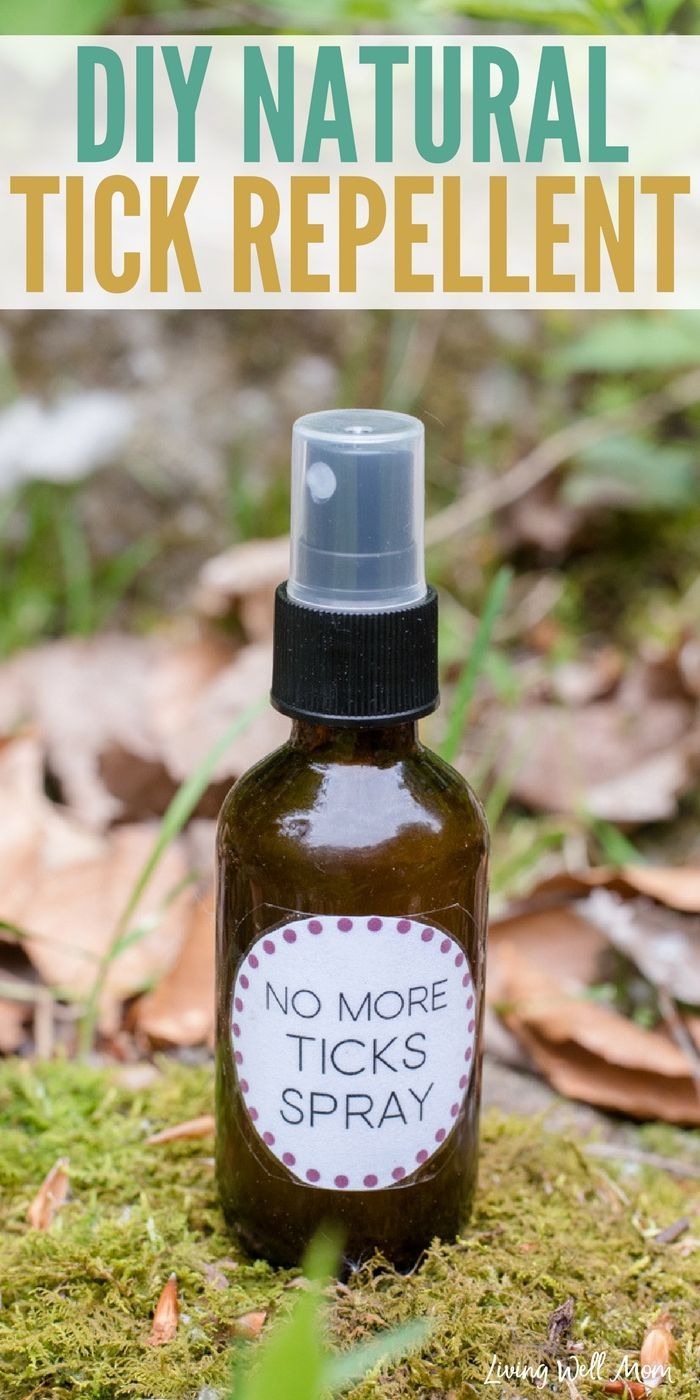 Keep ticks away without the harmful chemicals using this all natural essential oil tick repellent recipe. It takes 2 minutes to make and is safe and effective for the whole family! Tick Repellent Essential Oils, Tick Repellent For Humans, Tick Repellant, Homemade Tick Repellent, Tick Repellent For Dogs, Tick Spray For Dogs, Homemade Bug Repellent, Natural Tick Repellent, Bug Spray Recipe