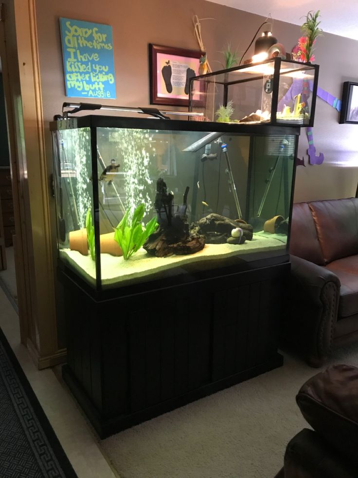 a fish tank sitting in the corner of a living room