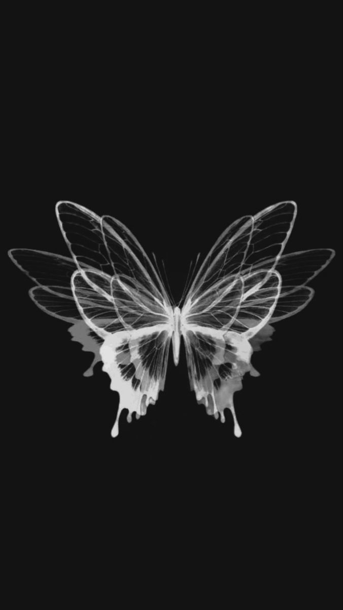 a black and white photo of a butterfly