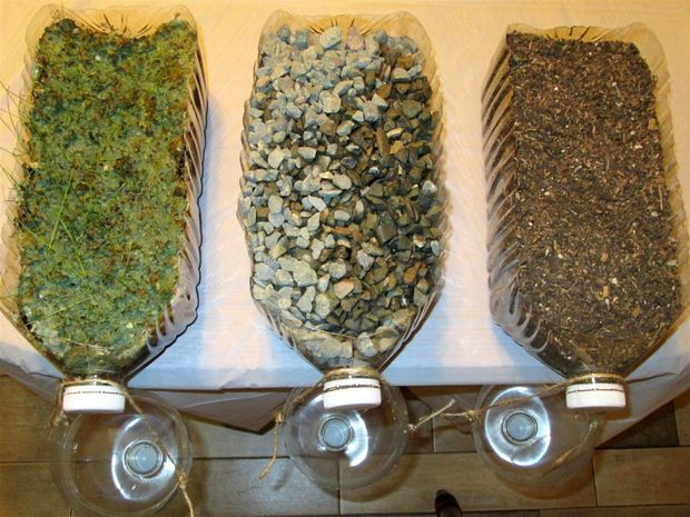 three different types of plants in glass vases on a counter top with rocks and grass