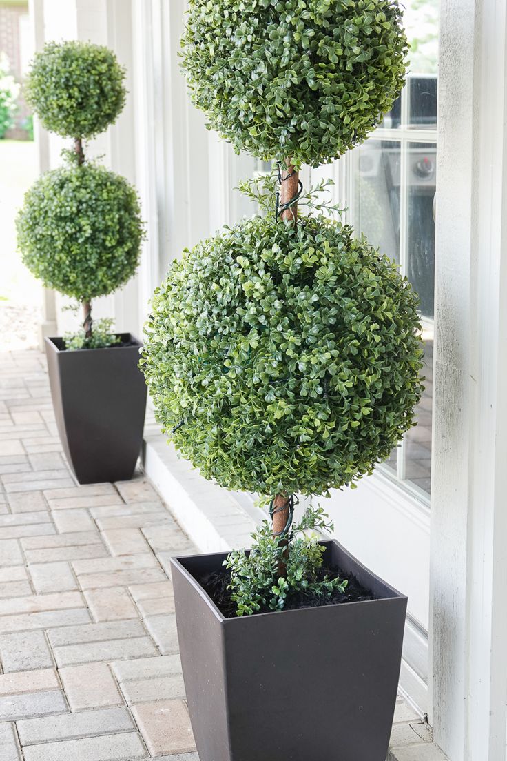 three potted plants on the side of a building with white trimmings and one is shaped like a topiary ball