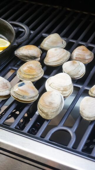 some clams are cooking on an outdoor grill