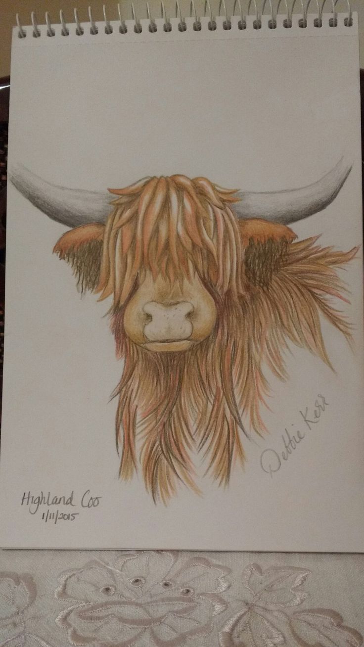 a drawing of a bull with long hair and horns on it's face is shown