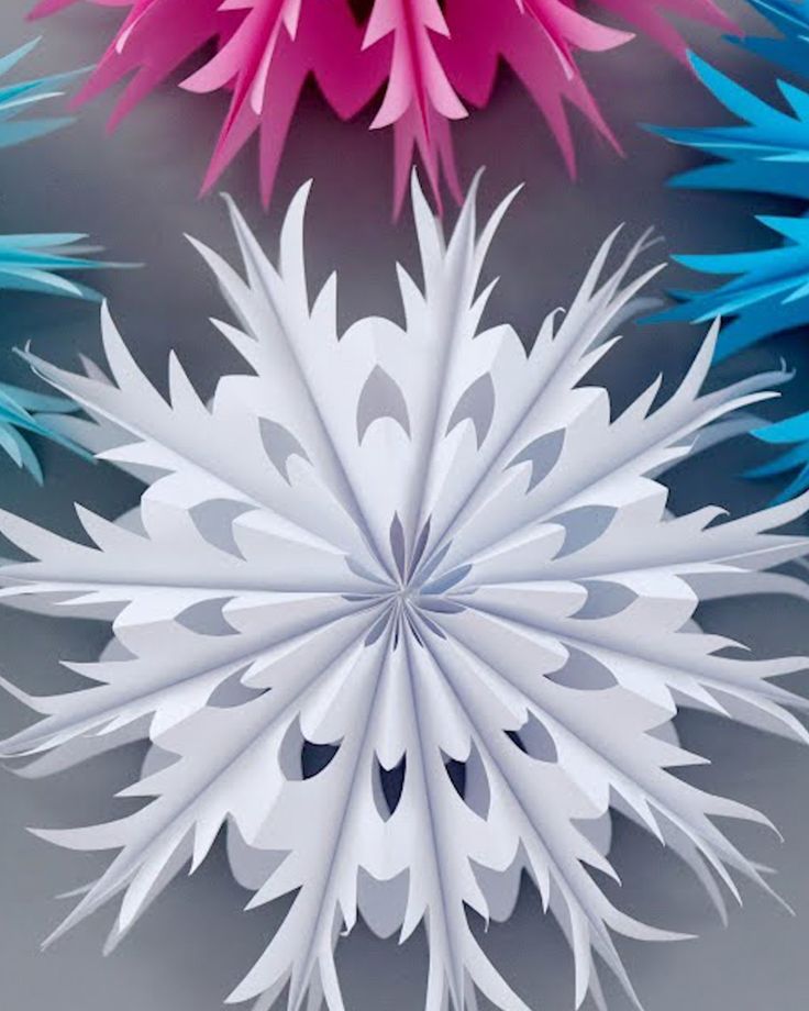 four different colored paper flowers on a gray background